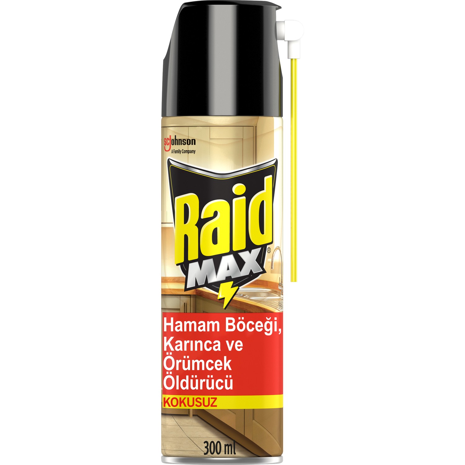 Raid Böceksavar Max 300 ml